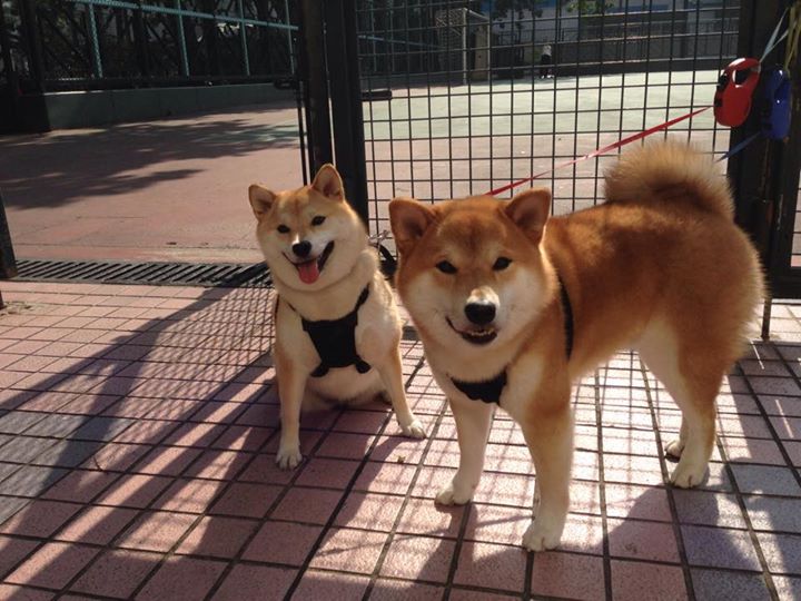 开云官网首页-《Dota 2全球邀请赛，Liquid战队三连冠再创新纪录》，dota2 2021战队