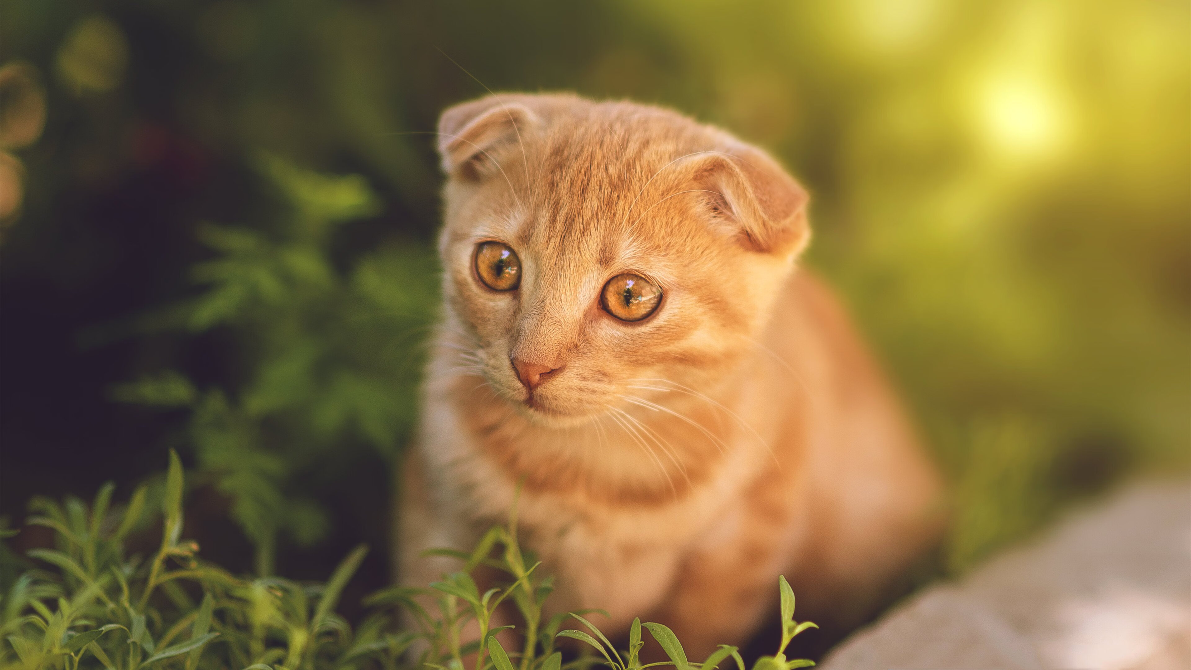 开云官网APP下载-中国足球运动员海外试训取得新突破，提升战斗力，中国足球海外球员新闻