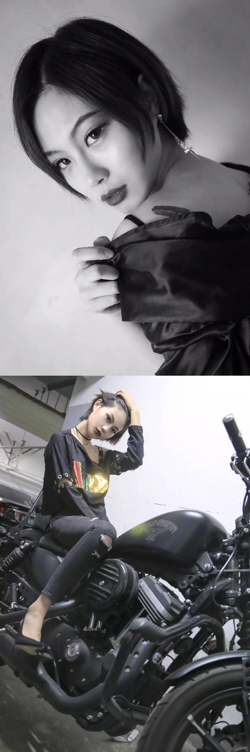 哥伦比亚马术协会建立马匹基因数据库，促进马匹选育与训练。，哥伦比亚 马孔多